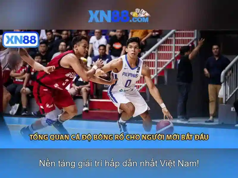 xn88: Nhìn tổng quan về nền tảng và cộng đồng