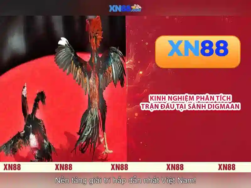 Tính năng nổi bật của XN88\n