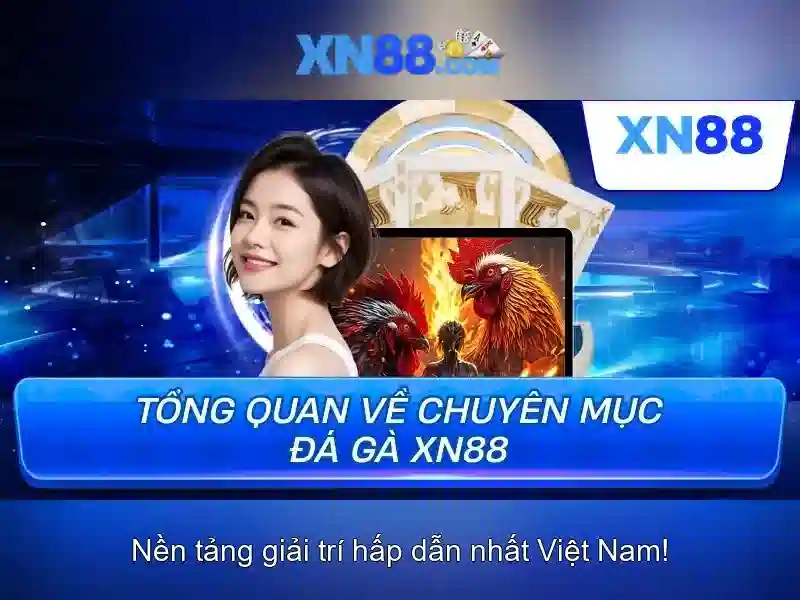 Giới thiệu về xn88