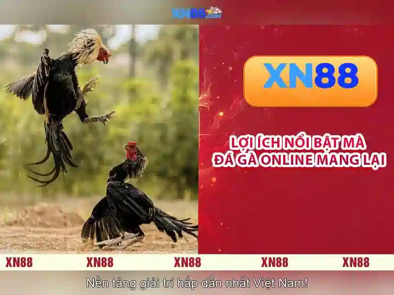 xn88 là gì? Khám phá nền tảng chơi trực tuyến nổi bật