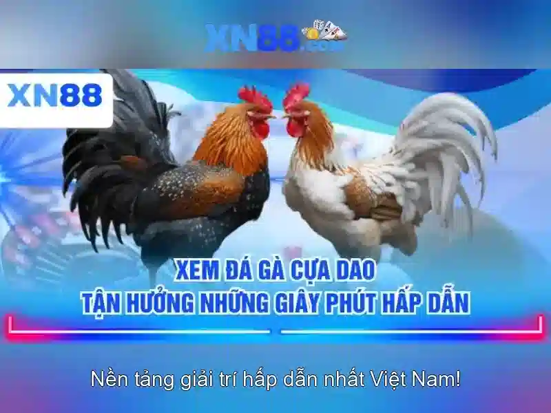 An toàn và bảo mật