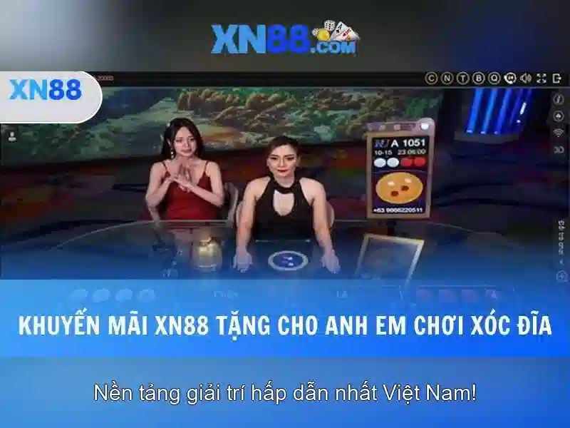 Nền tảng và giao diện\n\n