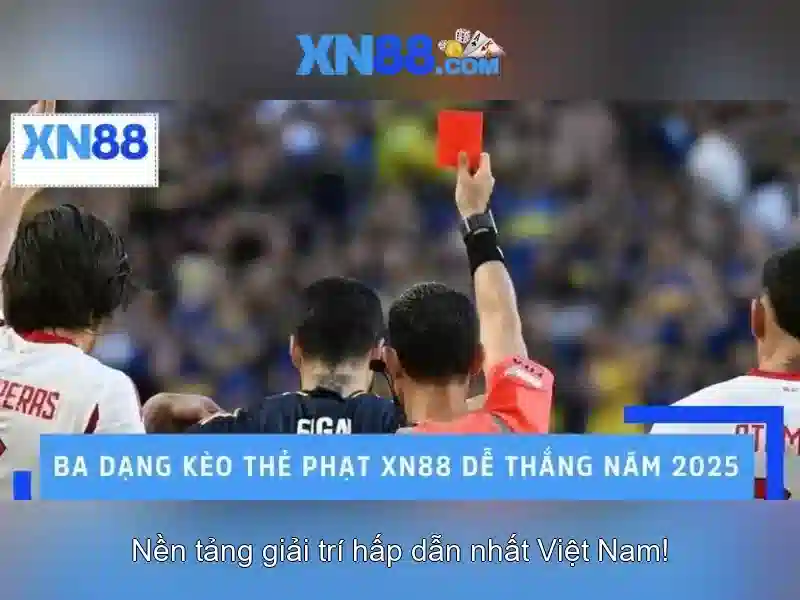 Giới thiệu về xn88