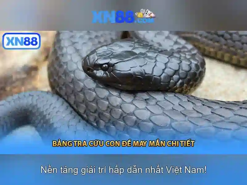 xn88: Tổng quan về nền tảng chơi game trực tuyến