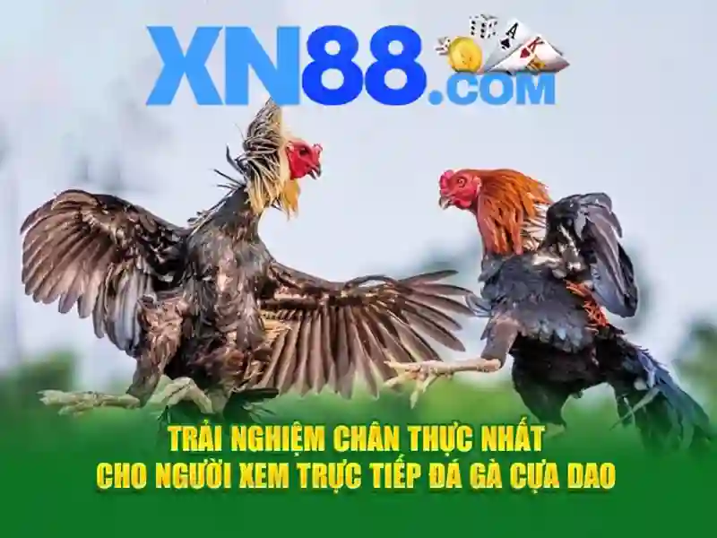 Tổng quan chủ đề xn88..com